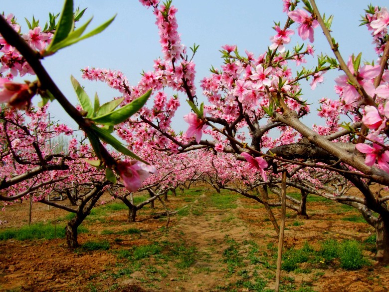 �p���αص����� ʡ��(n��i)�p�����ε����]