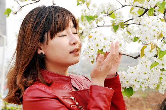 �p���αص����� ʡ��(n��i)�p�����ε����]