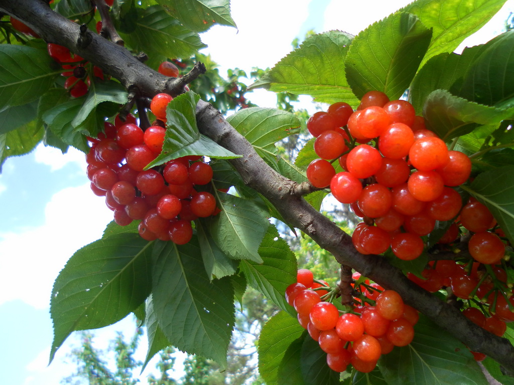 �ֵ����ҳ���r ʡ�ș��Ҳ�ժ����