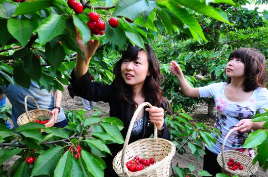 �ֵ����ҳ���r ʡ�ș��Ҳ�ժ����