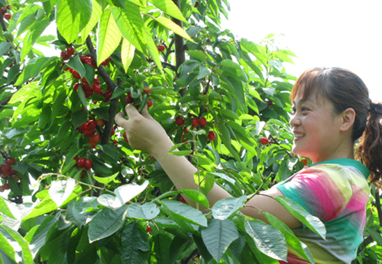 �ֵ����ҳ���r ʡ��(n��i)���Ҳ�ժ����