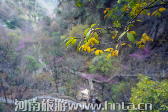 �����ж��������Ⱦ������[���B(y��ng)����&middot;���{�Ͼ���