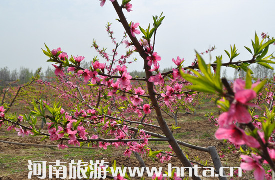 &ldquo;2014&bull;��֮��&rdquo;�L�����e�����Ļ���(ji��)�_Ļ