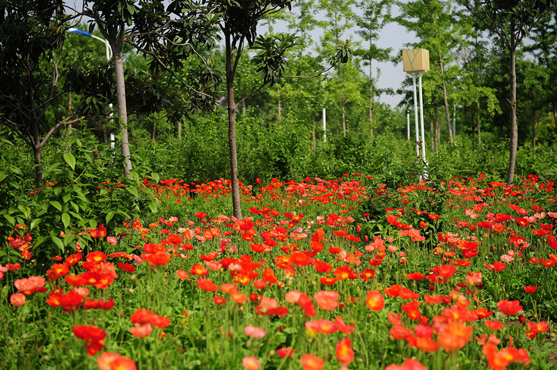 ��һС�L�����M�G���@�����p���^��a