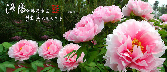 ���ĵ���p������ һ��ĵ�����u