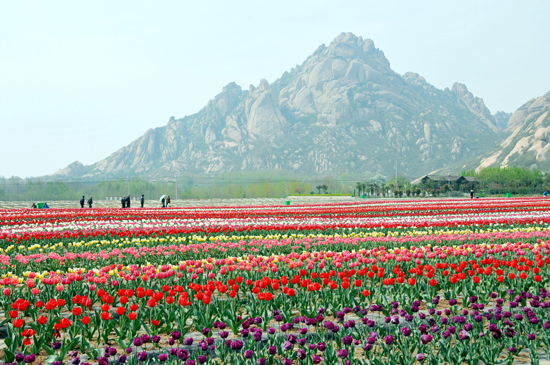 ���΍��ɽ �c�������һ��(ch��ng)�����ļs��(hu��)��