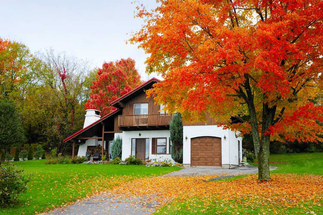 �Ҹ��l(f��)��?x��n)?n��i)�� ȫ��ʮ�����Ҹ���(gu��)���L(f��ng)��