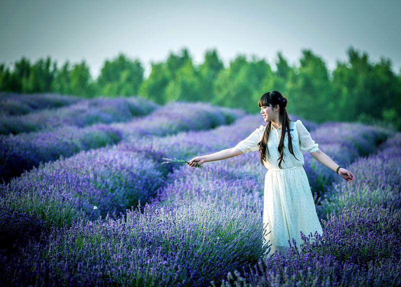 ����ȥ�ă������ɽ�c���Ђ��s��