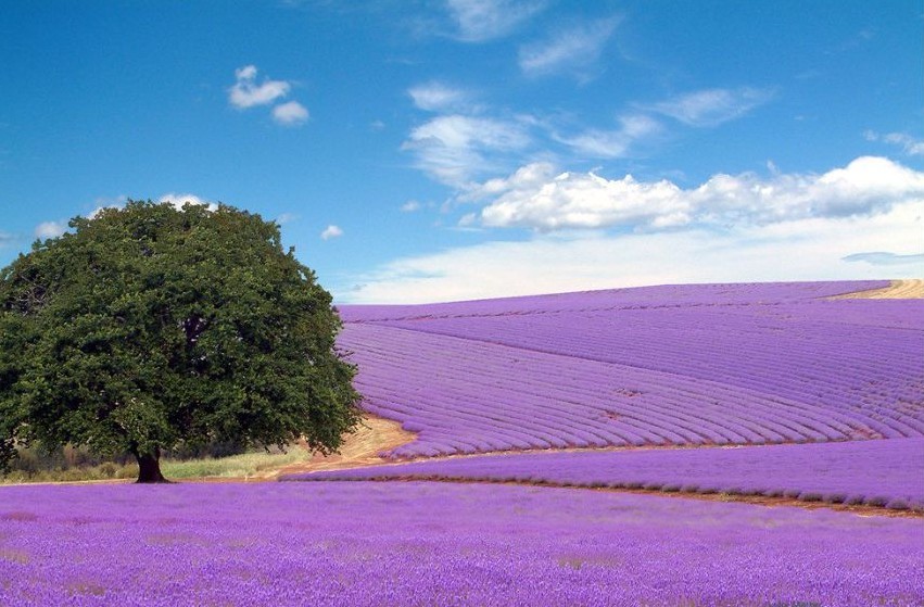 ���m˹޹�²��f�@