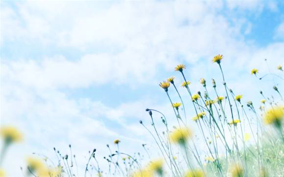 �������������r ����Ŀ�ĵ����]