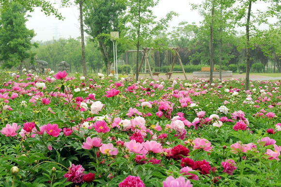 ������������(d��ng)�r(sh��) ����Ŀ�ĵ����]