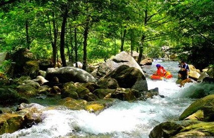 ��ľ��Ư��