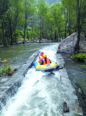 ��ľ��Ư��