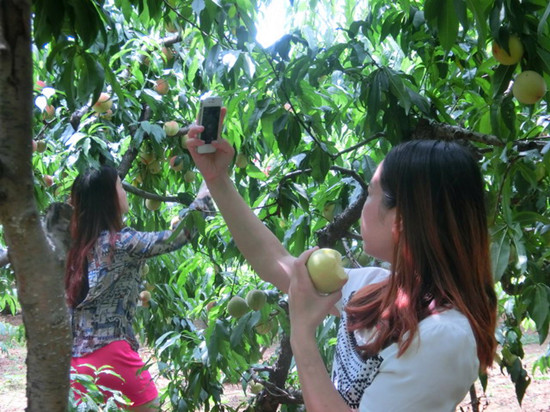 â�Xɽ�h�Ļ����^(q��)