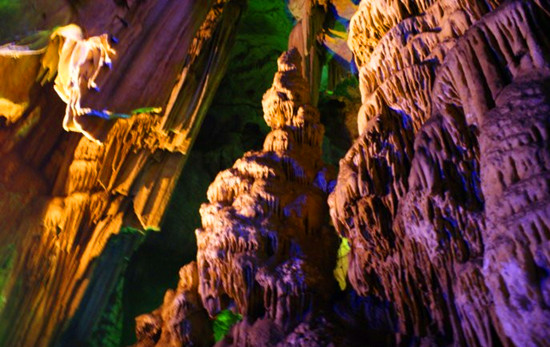 �������ɶ�