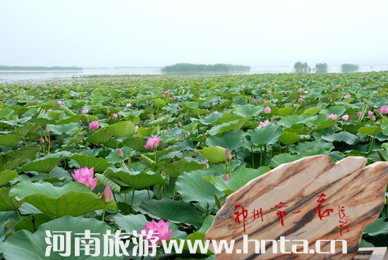 �ڰˌ��Ї�&bull;��������p���»�ӆ���