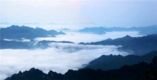 ���(y��ng)�������ƺ�