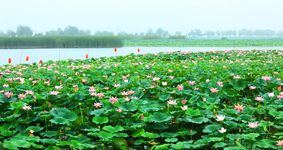 ���(y��ng)�ɻ���(ji��)