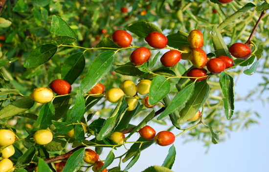 �����t��