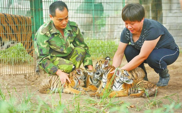 ���ǹ��@С�A�ϻ�