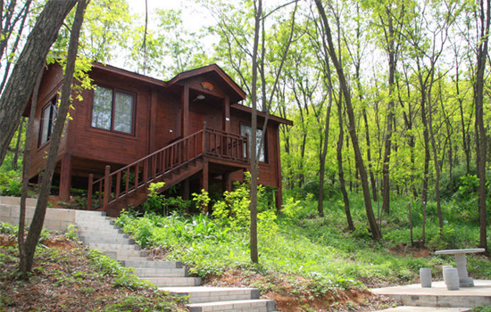 ����ɽ���^(q��)