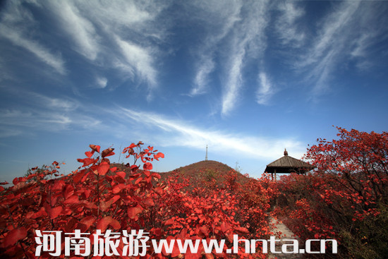 2015�꽹���t�~��(ji��)�_(k��i)Ļ