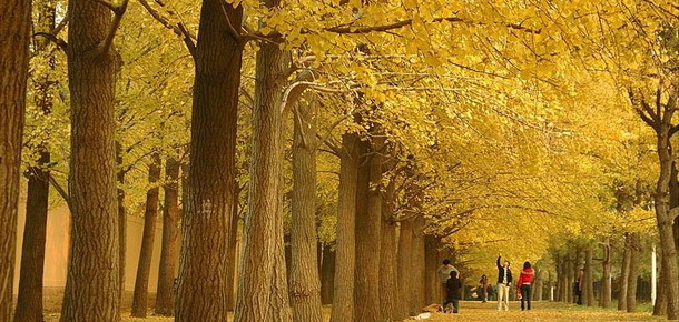 ǧ���y���� �A��M���w ��ĩ��һ��ȥ���y�ӿɺã�