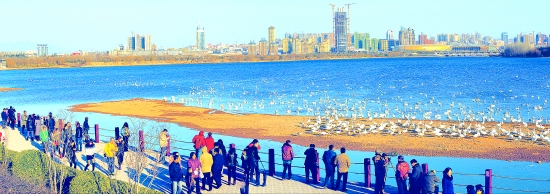 �����S�����Ύ��ϵ��S�����ξ�·&mdash;&mdash;2015���T�{�����Z���μ�ʢ�󆢄�(d��ng) 