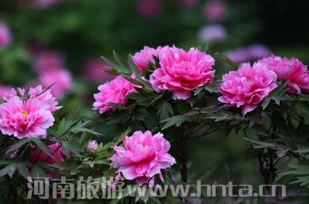 ��33���Ї����ĵ���Ļ���(ji��)�p������(d��ng)