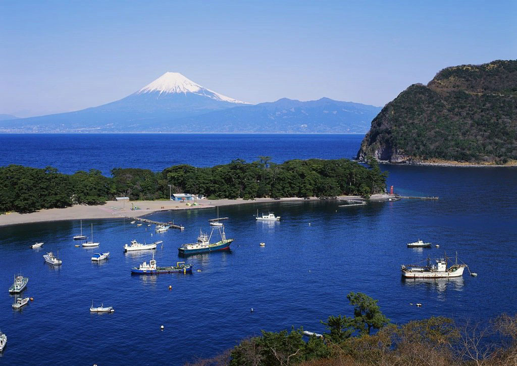 ���(gu��)�ο͔�(sh��)�������ձ�����(w��)�I(y��)���d���n