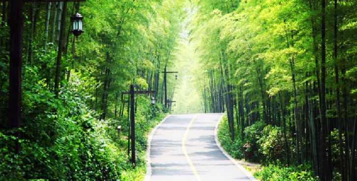 2014��ȫ��ɭ�������ο����_9.1�|�˴�