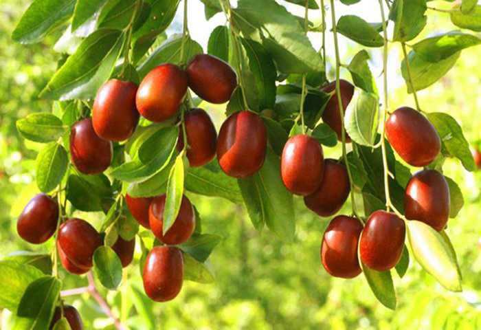 ��s���l(xi��ng)Ʒζ����