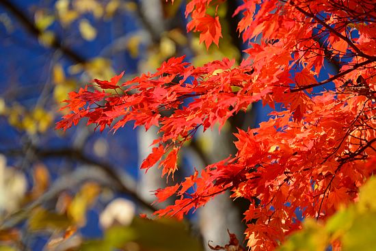 ������ɽ�t��r���҂���s���l(xi��ng)��̫��