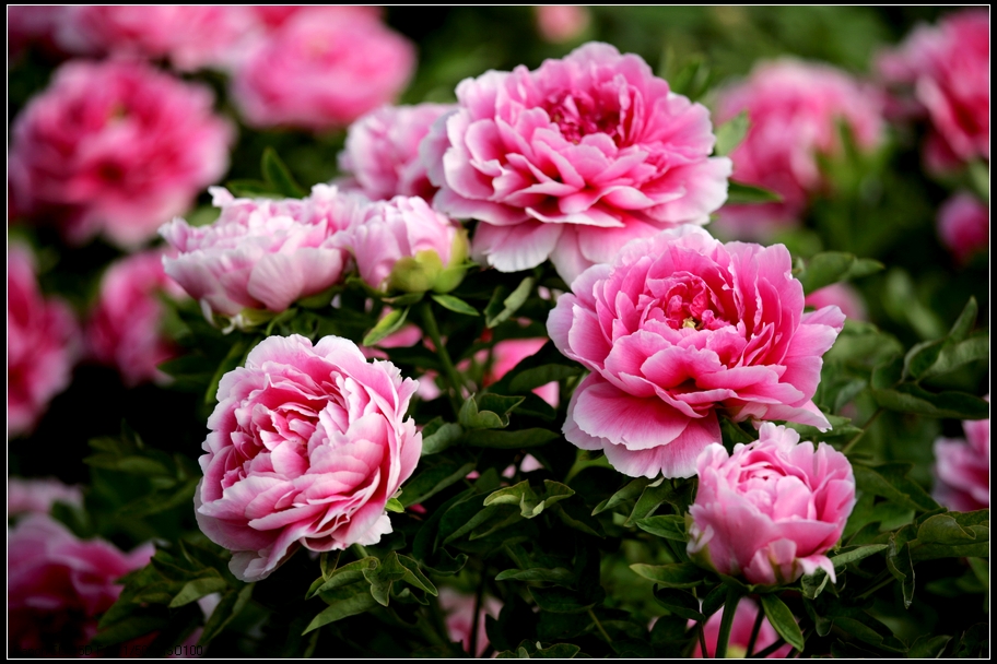 ����&ldquo;һ��һ·&rdquo;��ꖫ@��