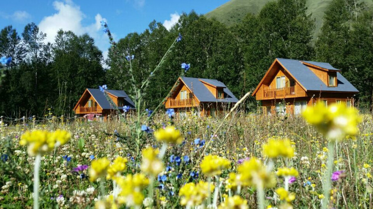 (li��n)�ϰl(f��)���Ƴ�ƿ�i�I(y��ng)�ؽ��O(sh��)����ǰ��