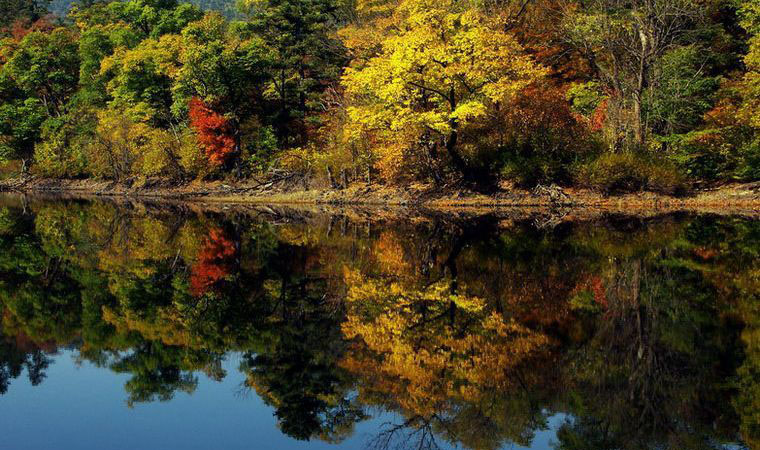 ȥ���֘I(y��)��������6700�|Ԫ