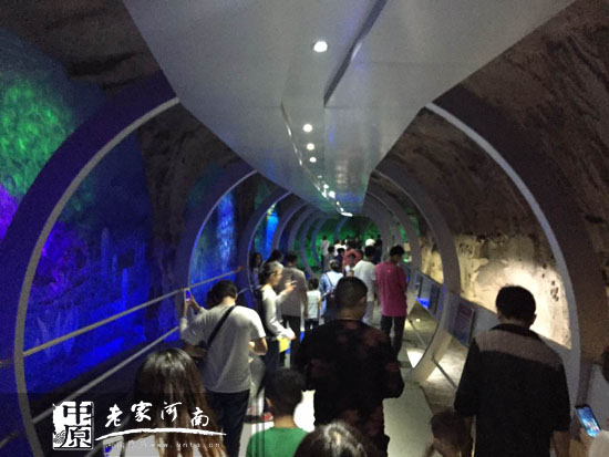 ���˷���(gu��)�c��&ldquo;ʮһ&rdquo;��(m��ng)��٪�_�o(j��) ̽�����{�����z�E�@