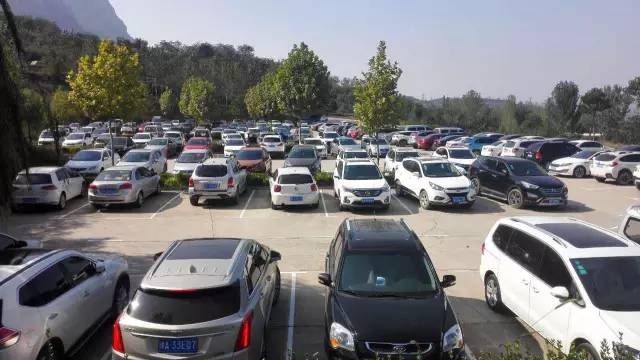 ʮһ�@�����^(q��)�����˶�߀���D ��ֱ����