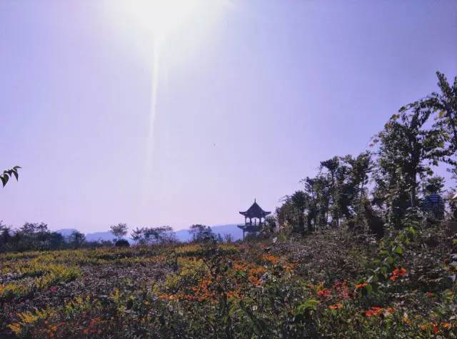 ʮһ�@�����^(q��)�����˶�߀���D ��ֱ����