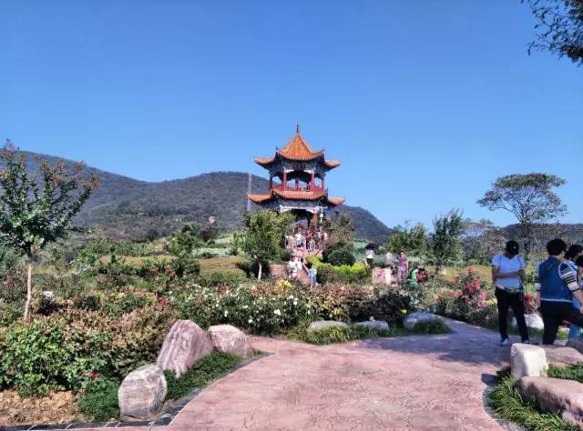 ʮһ�@�����^(q��)�����˶�߀���D ��ֱ����