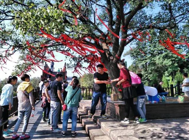 ʮһ�@�����^(q��)�����˶�߀���D ��ֱ����