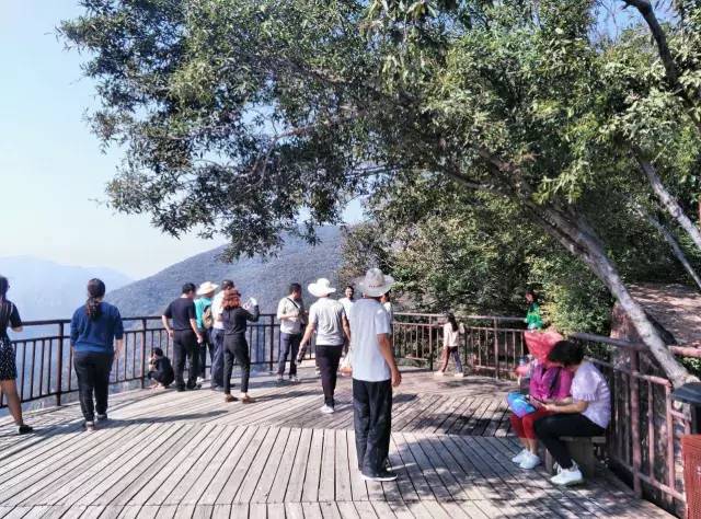 ʮһ�@�����^(q��)�����˶�߀���D ��ֱ����