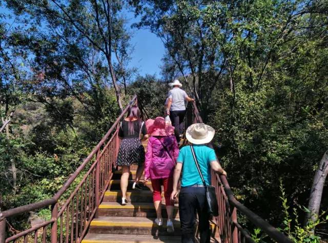 ʮһ�@�����^(q��)�����˶�߀���D ��ֱ����