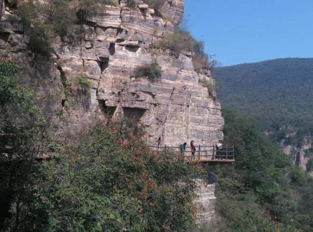 ʮһ�@�����^(q��)�����˶�߀���D ��ֱ����