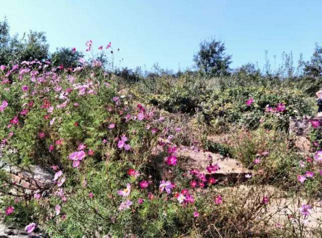 ʮһ�@�����^(q��)�����˶�߀���D ��ֱ����