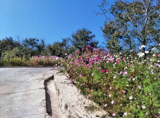 ʮһ�@�����^(q��)�����˶�߀���D ��ֱ����