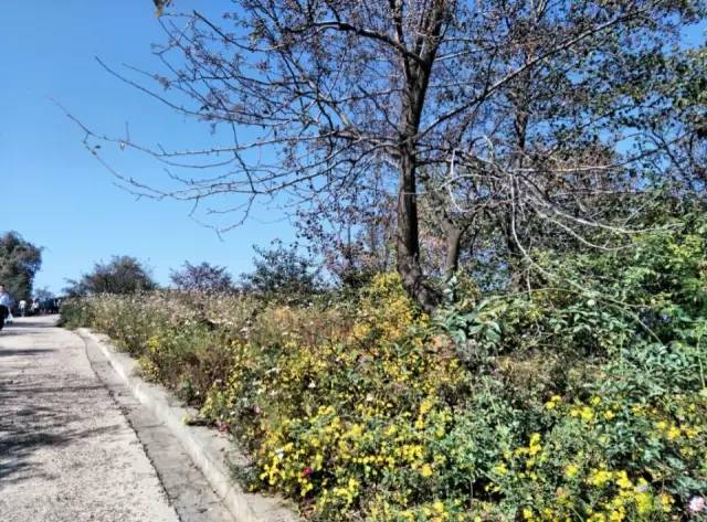 ʮһ�@�����^(q��)�����˶�߀���D ��ֱ����