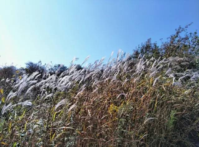 ʮһ�@�����^(q��)�����˶�߀���D ��ֱ����