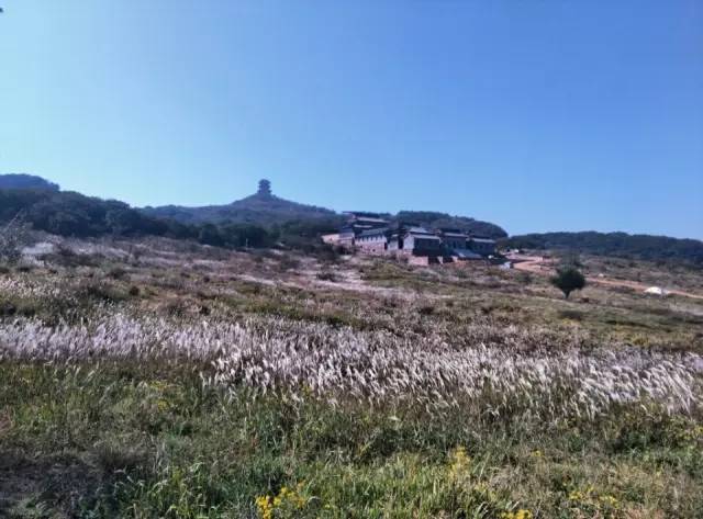 ʮһ�@�����^(q��)�����˶�߀���D ��ֱ����