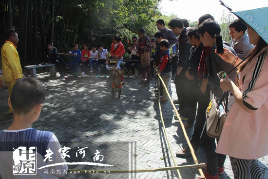 ���˷���(gu��)�c�����������Aɽӭ��(l��i)�����ο�